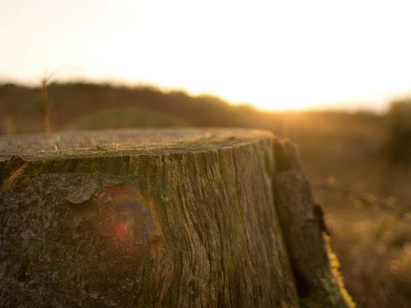 accessibility screenshot 4